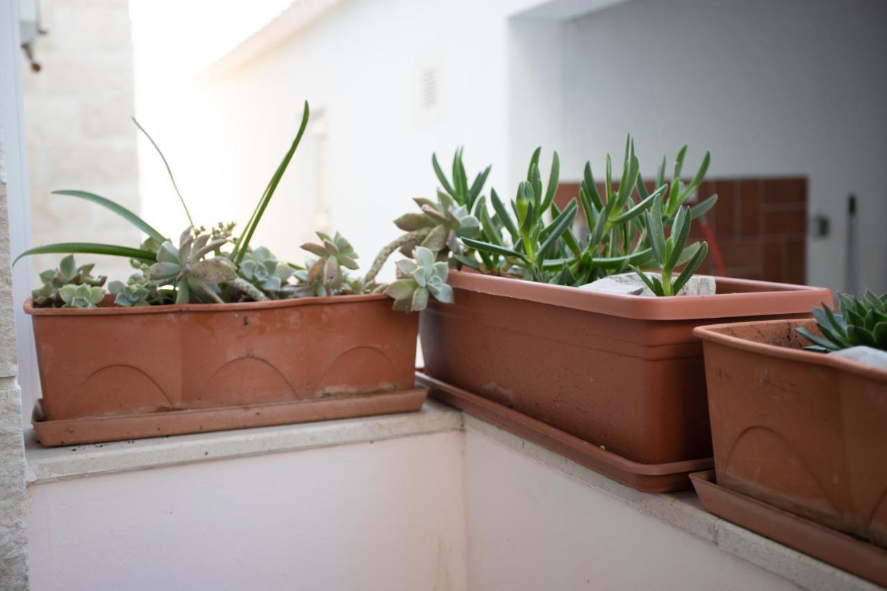 Apartment Gospojica